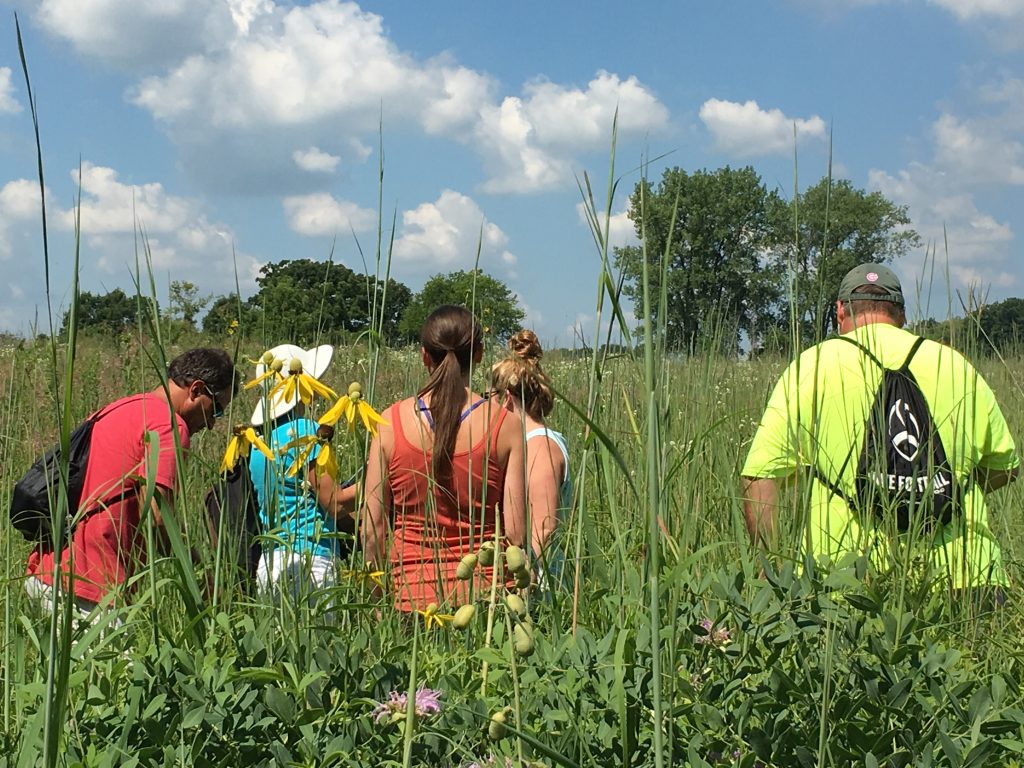 Students stand in the prairie surrounded by tall grasses. 