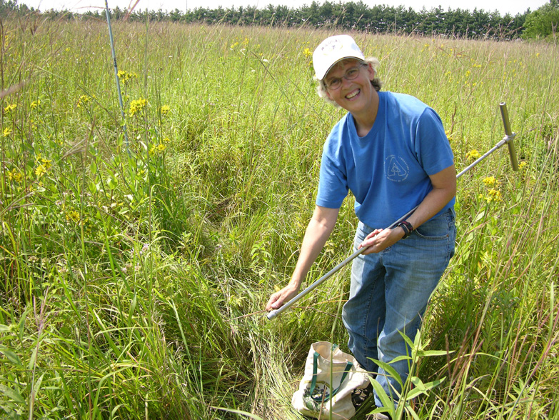 A Fermilab researcher working in the prairie