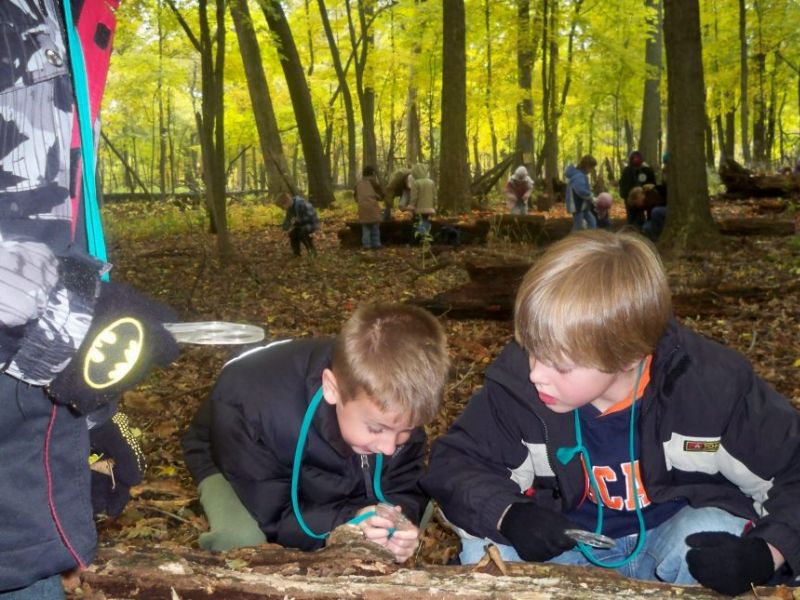 Children in the woods examining bugs on the ground